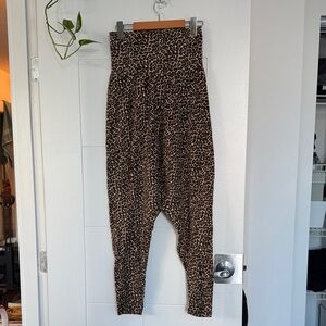 American Apparel Leopard Harem Leggings